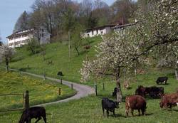 Quelle: Schwestern von Grandchamp